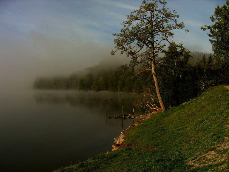 Danau Titisee 4