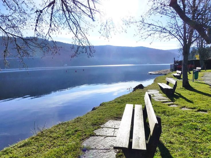 titisee park benches